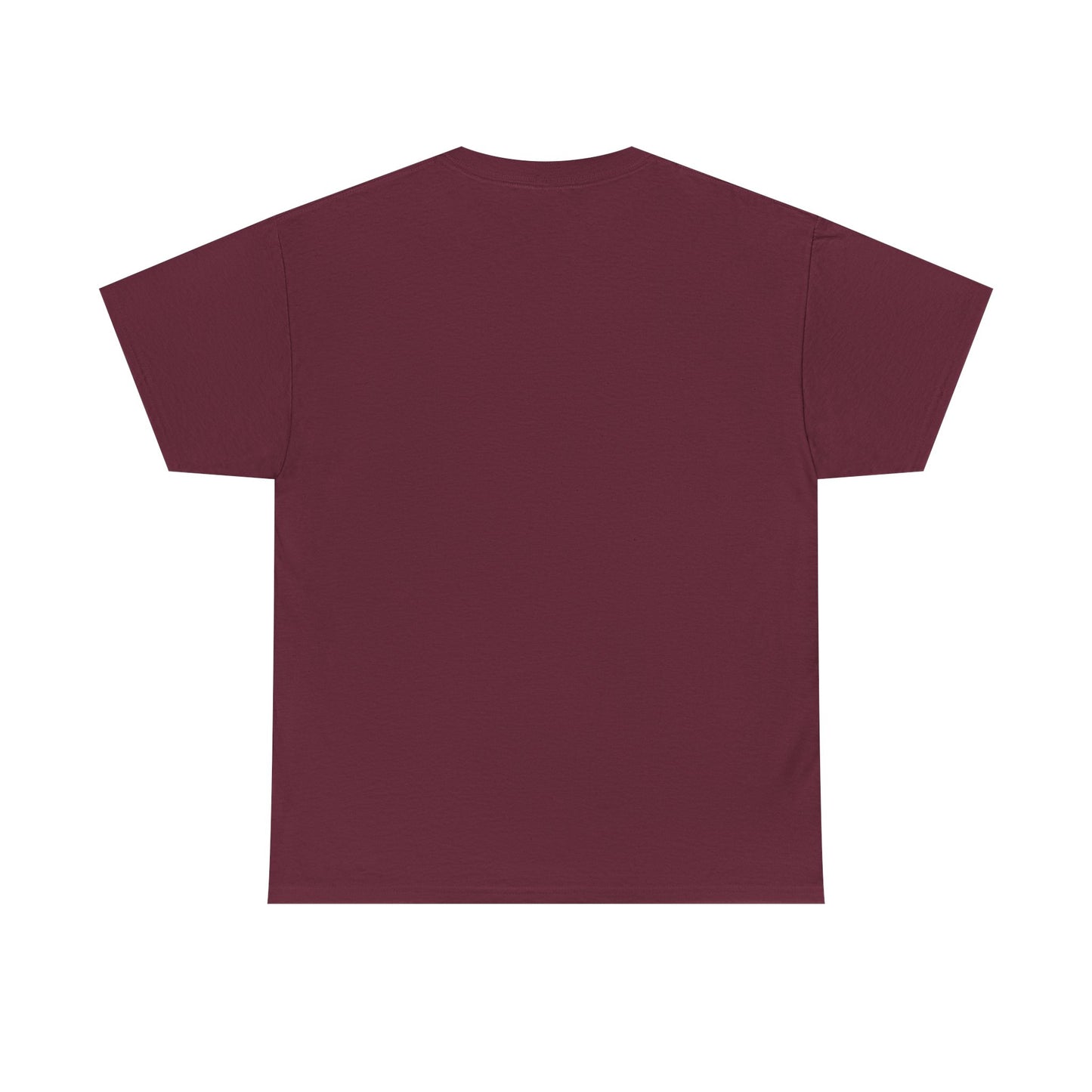 Paladin -tee