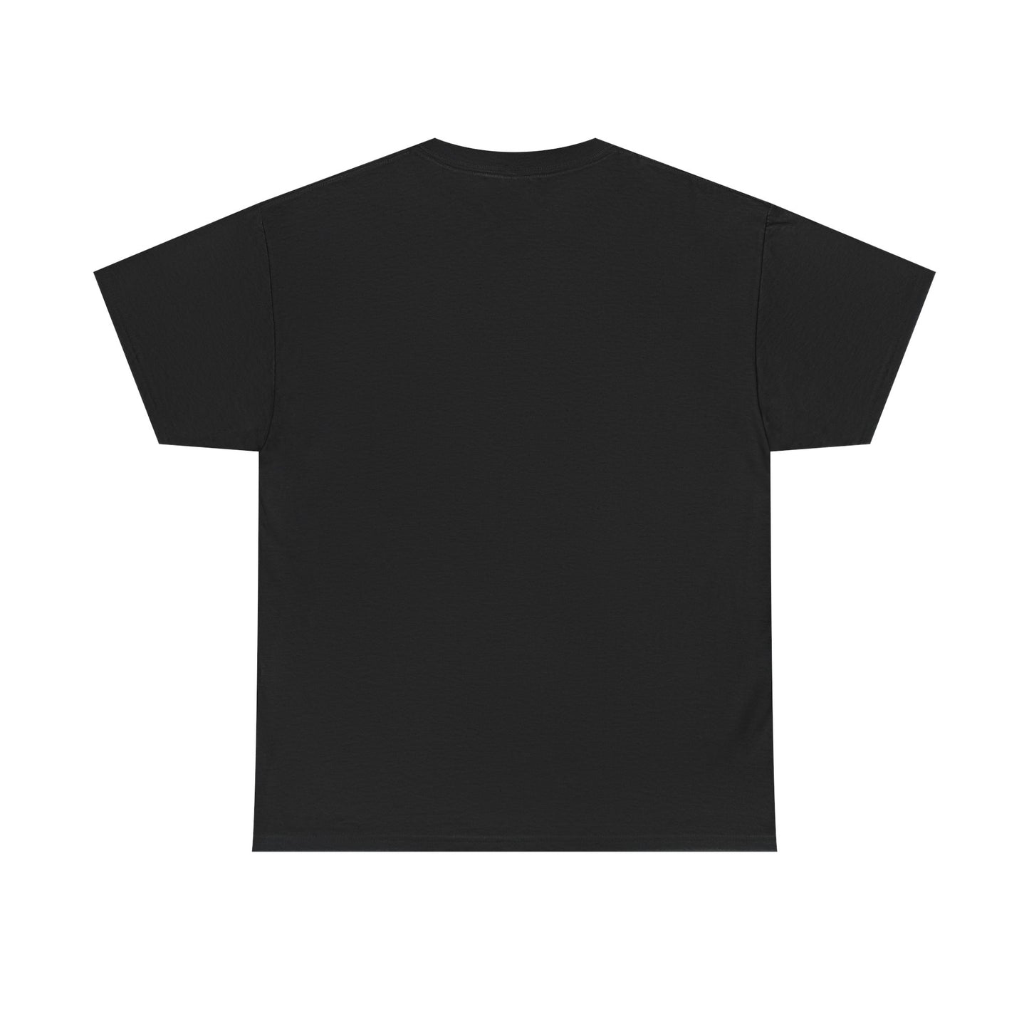 Paladin -tee